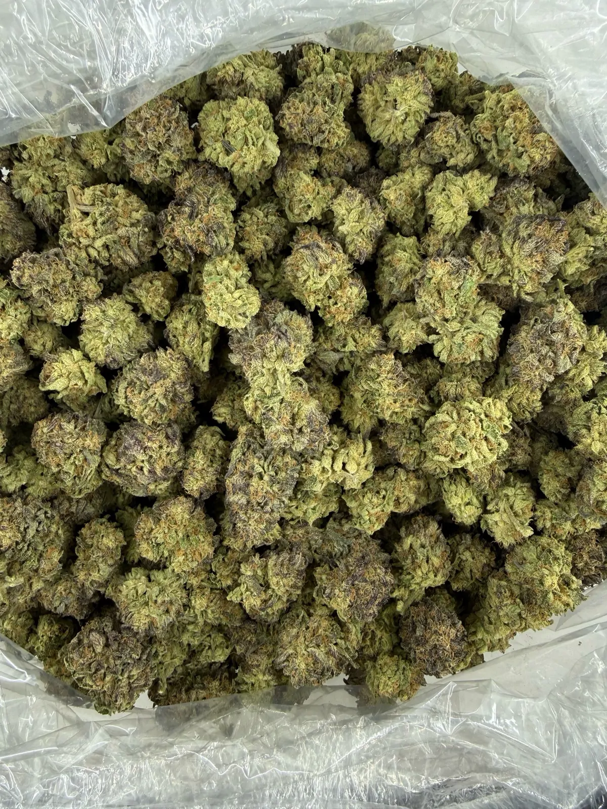 Gary Payton Flower